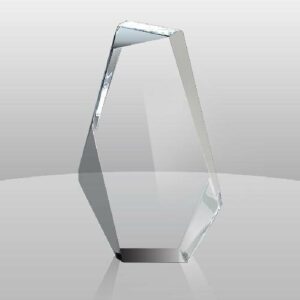 Heavy Prestige Award