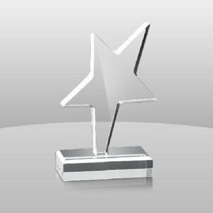 Shooting Star Award