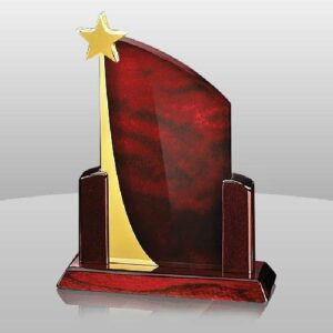 Rising Star Maroon Award
