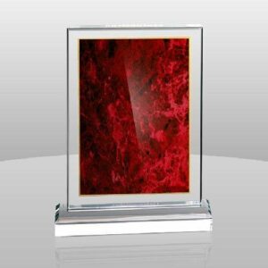 Maroon Marble Print Award