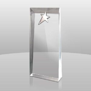 Palisade Award