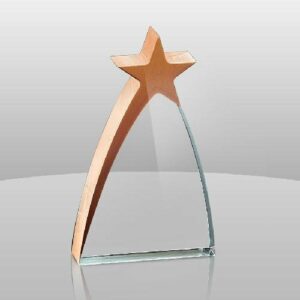 New Bronze Star Award