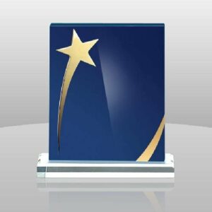 Shining Star Award