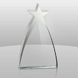 New Silver Star Award