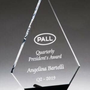 Diamond Series Clear Acrylic with Black Accent and Silver Post