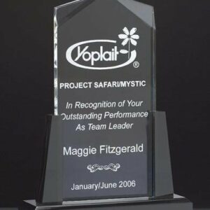 Spire Clear Acrylic Award.