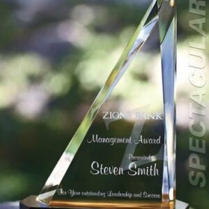 Spectacular Slant Color Accented Acrylic Award