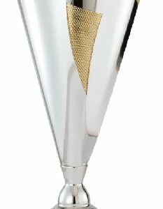 Silver and Gold Award Cup