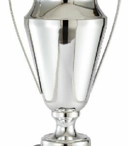 Silver Award Cup