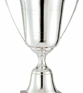 Silver Award Cup