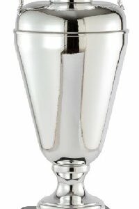 Silver Award Cup